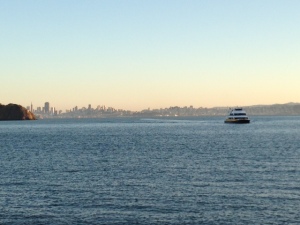 SF Ferry